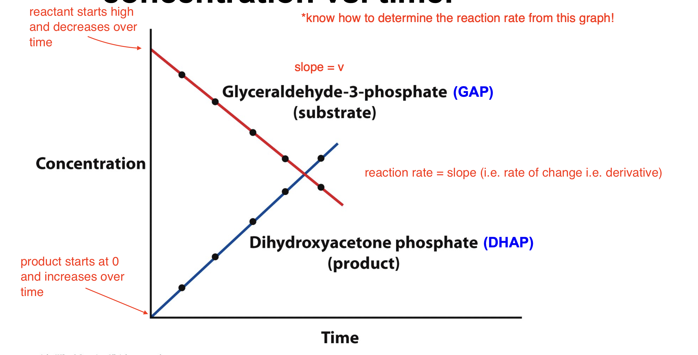 <p>Reaction velocity can be thought of as concentration vs. time</p><ul><li><p>reactant starts high and decreases over time</p></li><li><p>product starts at 0 and increases over time</p></li><li><p>reaction rate = slope (i.e. rate of change i.e. derivative)</p></li></ul><p></p>