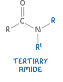 <p><span><strong><span>These are amides where the nitrogen atom is bonded to one carbonyl group (C=O), and two alkyl or aryl groups.</span></strong></span></p>