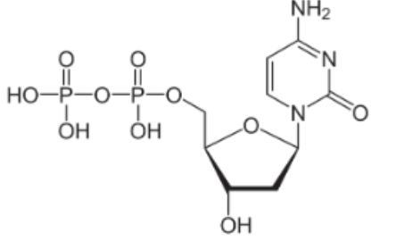 <p><span>The base is cytosine. What is the abbreviated name of this molecule?</span></p>