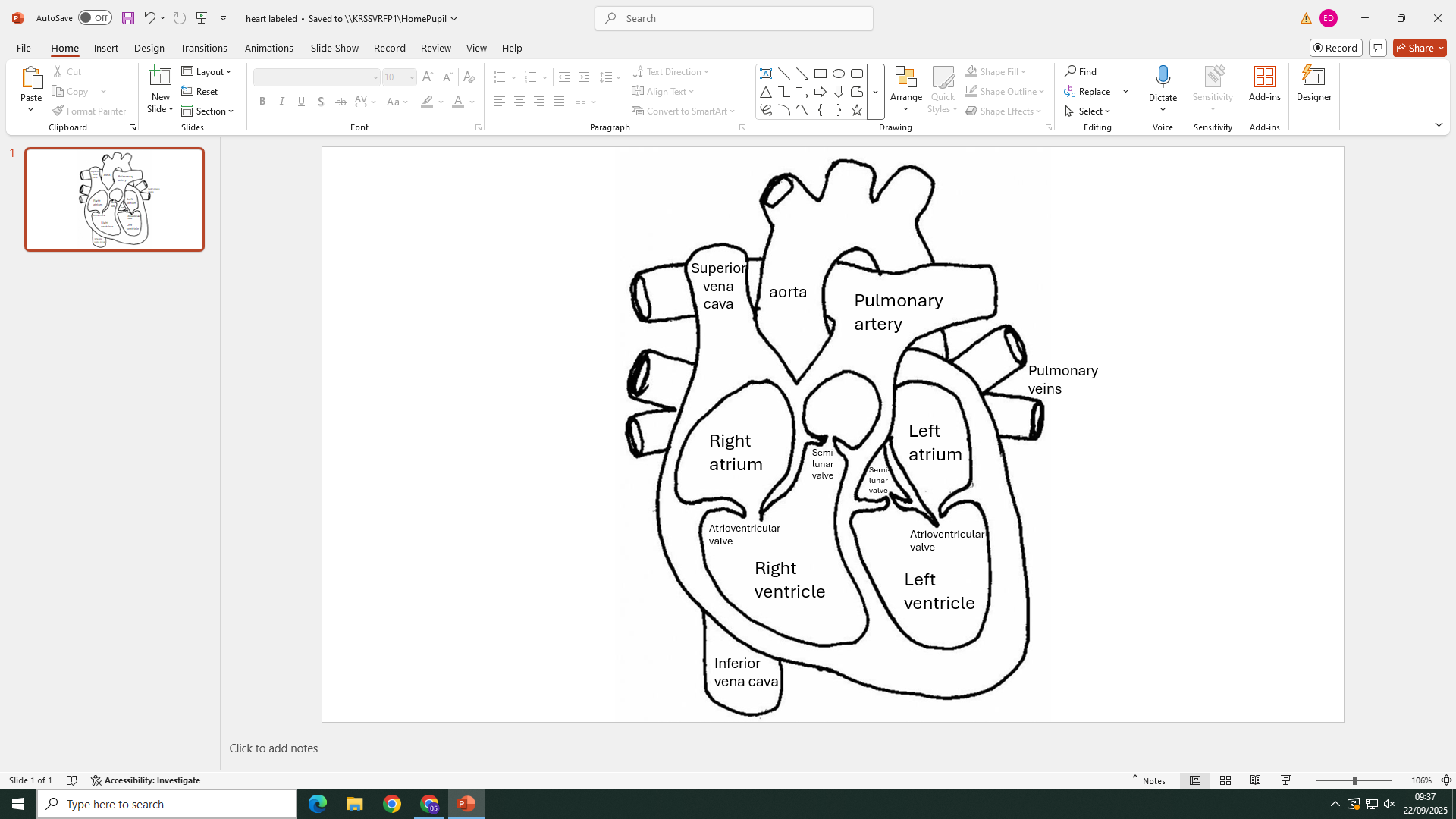 knowt flashcard image
