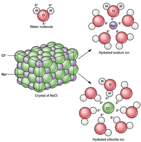 <p>Soluble in water bc the partial charges in H2O are attracted to ions in the lattice.</p>