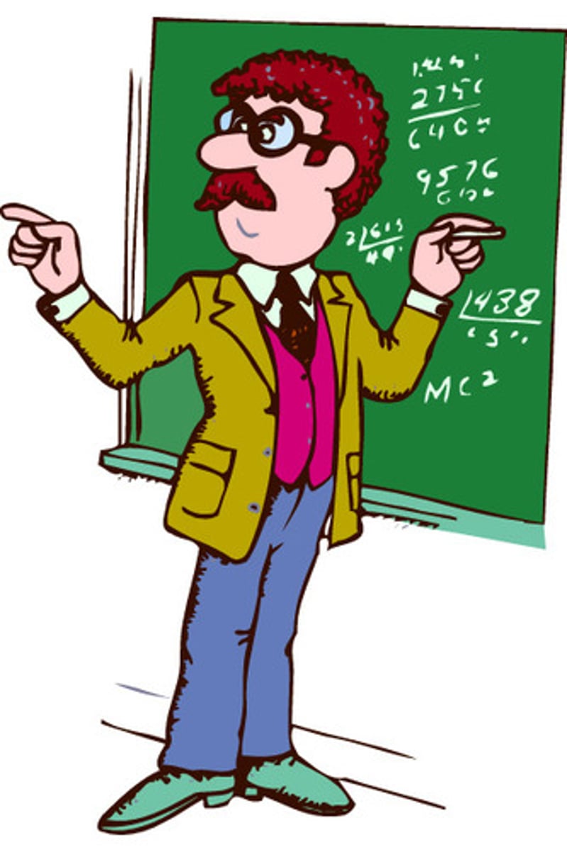 <p>teacher (male); teachers</p>