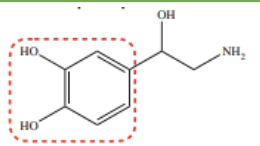 <p>cardiac stimulant</p><p>(Levophed [a], Mephrin, Norepin, Norphed, Hypoact)</p>