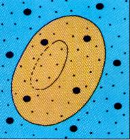 The same concentration of dissolved substances. Water in = water out.