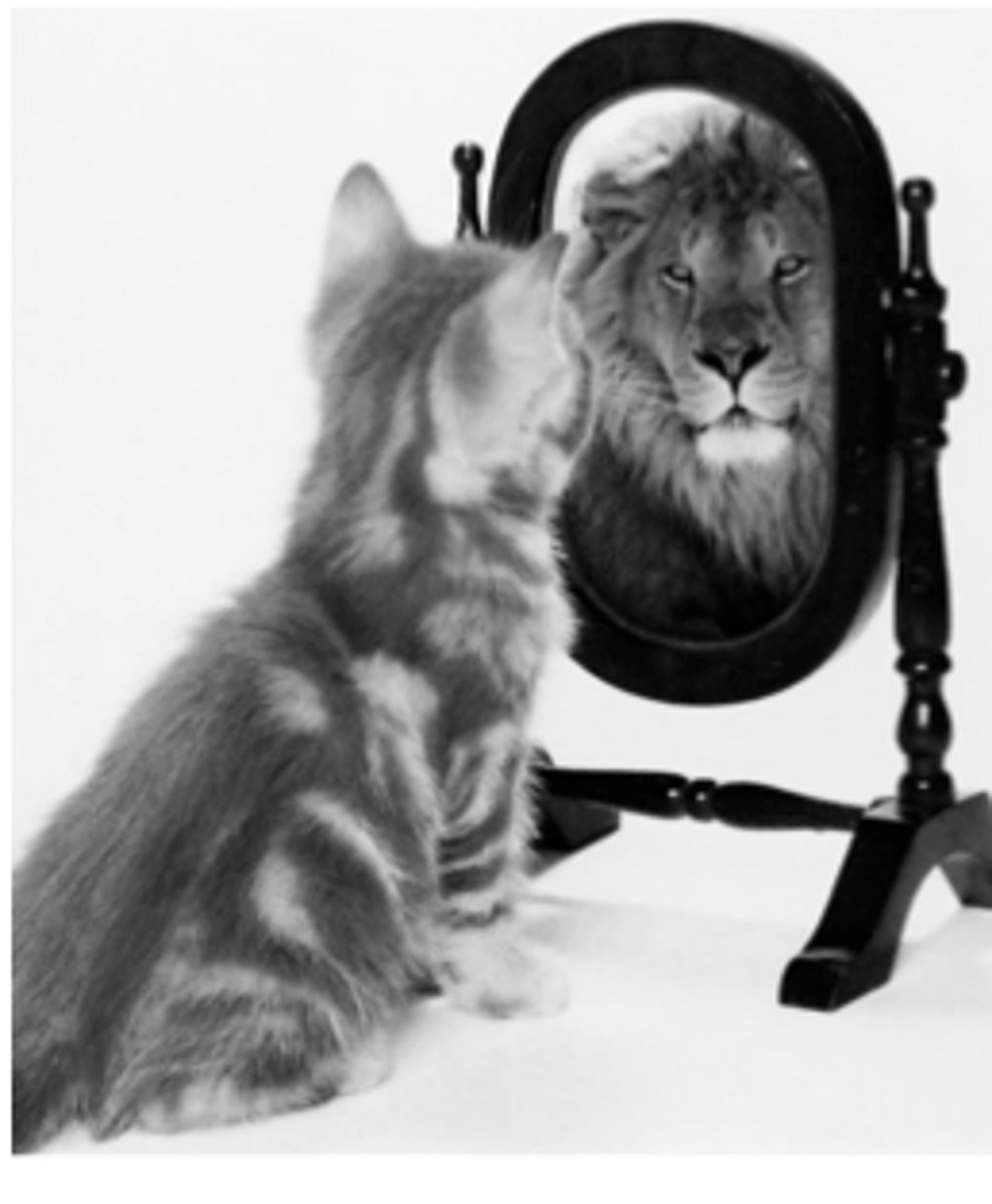 <p>to identify oneself with</p>
