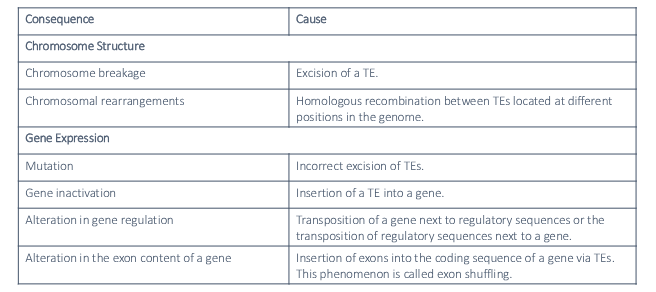 <p>Fill in the blank…</p><p>Another theory on the significance of TEs is that they confer some advantage. They can…</p><p>1) Carry ( ) genes</p><p>2) Cause genetic variability through ( )</p><p>3) Insert exons into the coding sequences of protein-encoding genes, a process called ( ), which leads to the evolution of genes with more diverse functions.</p><p>Overall, TEs can enter the genome of an organism and proliferate quickly, having a variety of effects on chromosome structure and gene expression.</p>