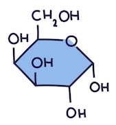 <p>Name this monosaccharide </p>