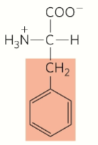 <p>Aromatic</p>