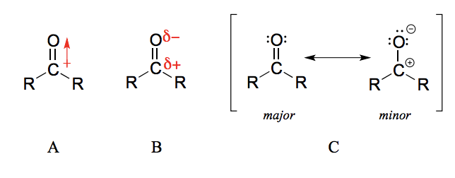 <p>The carbon-oxygen double bond is polar: oxygen is more electronegative than carbon, so electron density is higher on the oxygen end of the bond and lower on the carbon end.</p>