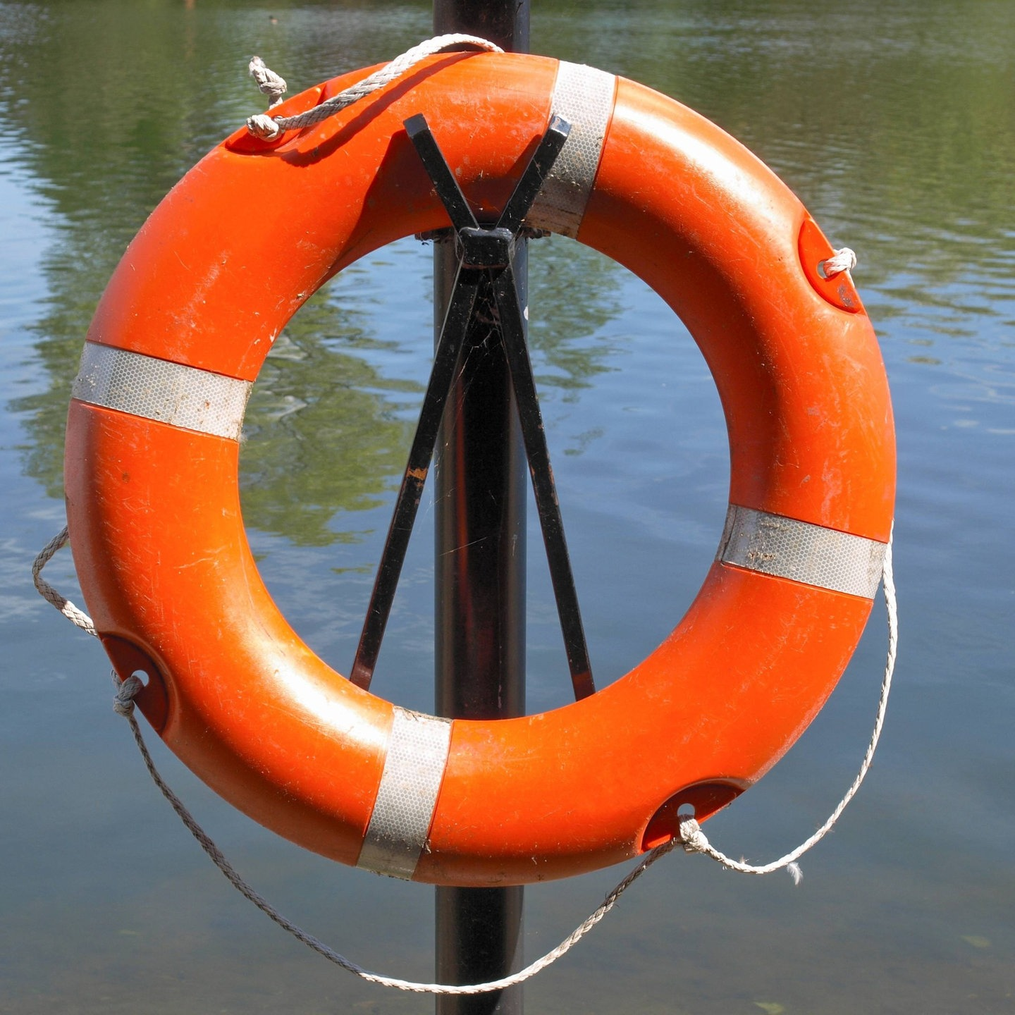 <p>life-saver or lifebelt</p>