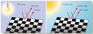 <p>two areas that reflect different amounts of light look the same under different illumination conditions if the ratios of their intensities are the same.</p>