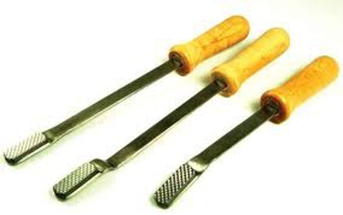 <p>for filing horses teeth</p>