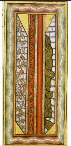 term image