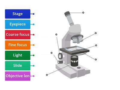<p>label the microscope</p>