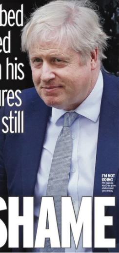 <p>closer image of BJ</p>