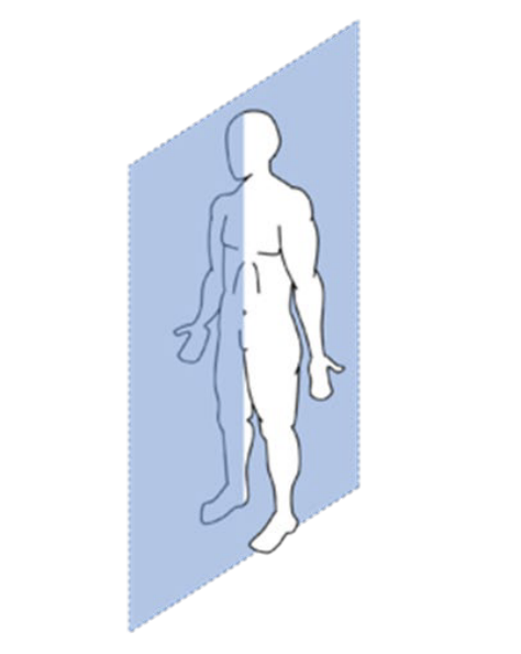 <p>Identify the plane region</p>