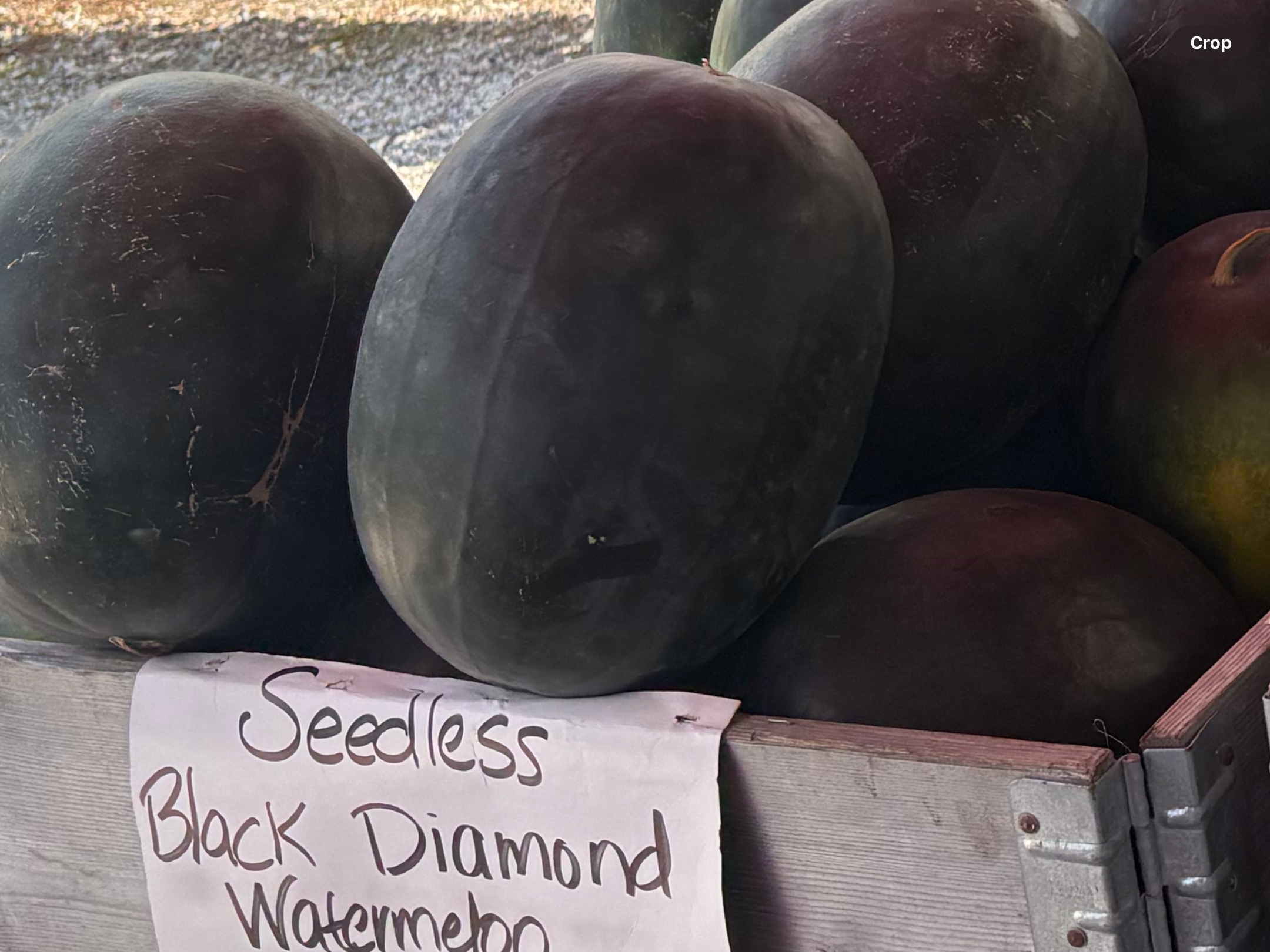 <p>Black diamond watermelon</p>