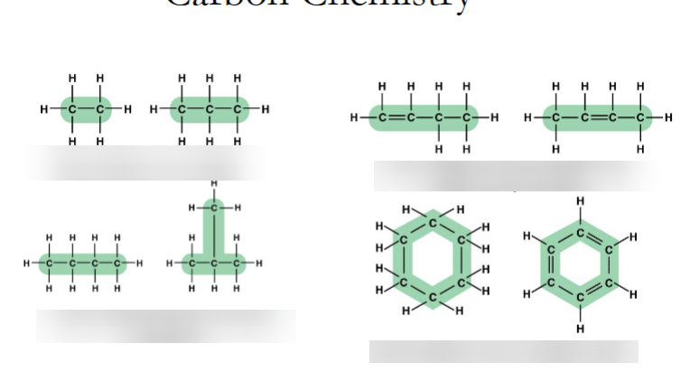 <p>explain how carbon skeletons can look</p>