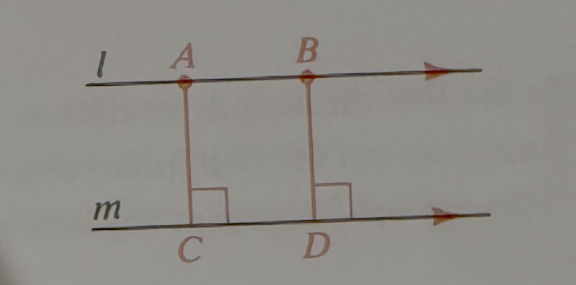 <p>What can you conclude from this diagram about the two points on the parallel lines?</p>