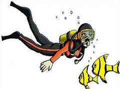 <p>to scuba-dive</p>