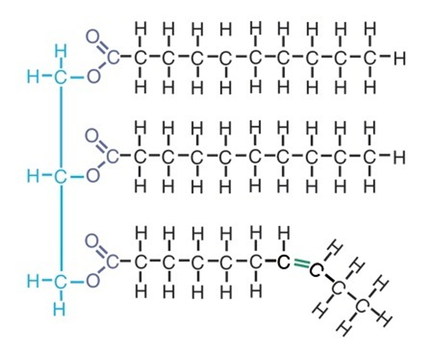 <p>Cannot lie as close to another unsaturated triglyceride, therefore creating a less dense substance (such as oil)</p>