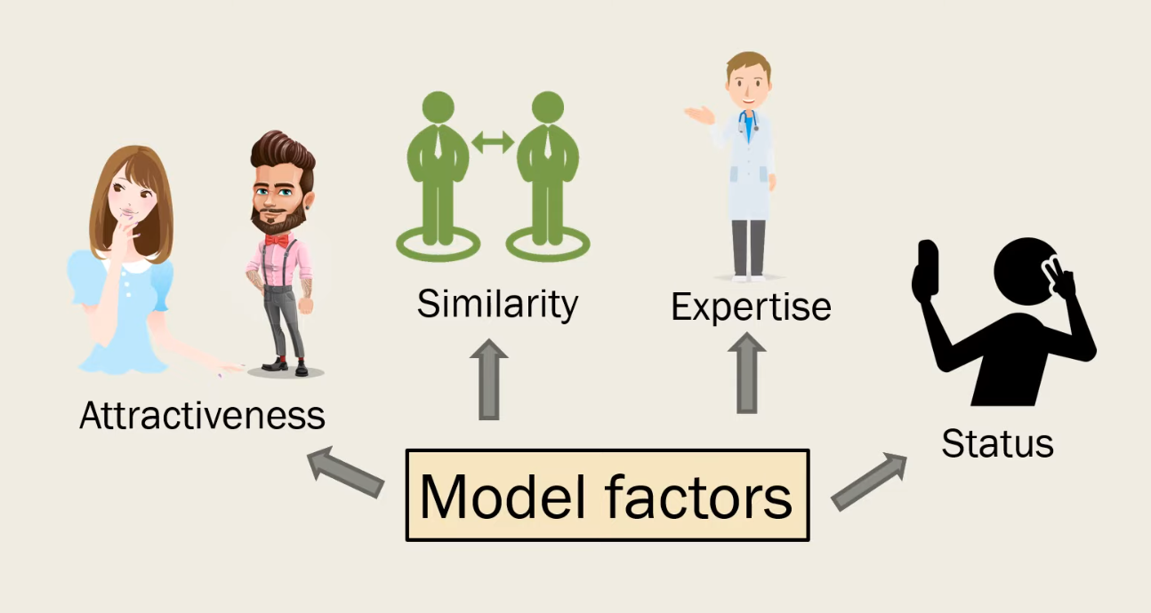 <p>Model Factors</p>