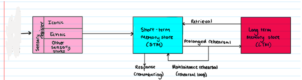 <p><strong>Multi Store Model</strong></p><p>What is missing?</p>