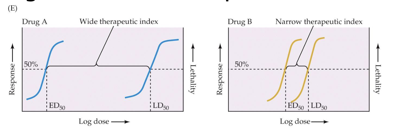 <p>theraputic index</p>