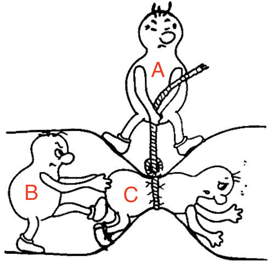 <p>What is represented by B in this image</p>
