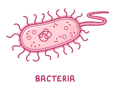 <p>they produce toxins that damage body cells</p>