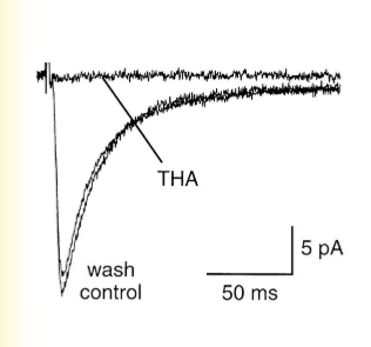 <p>Blocks all of the glutamate transporters</p><p>- completely abolishes the EPSC</p>