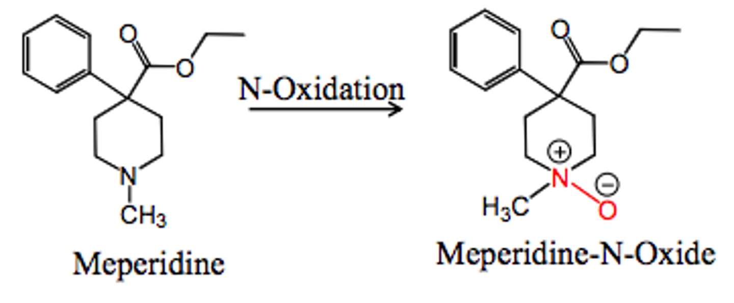 <p>Addition of O to N</p>