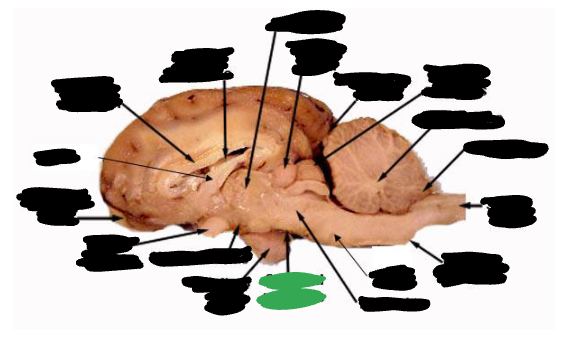 <p></p>