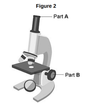 <p>Figure 2 shows a student’s light microscope.</p><p>What is the function of part B?</p>
