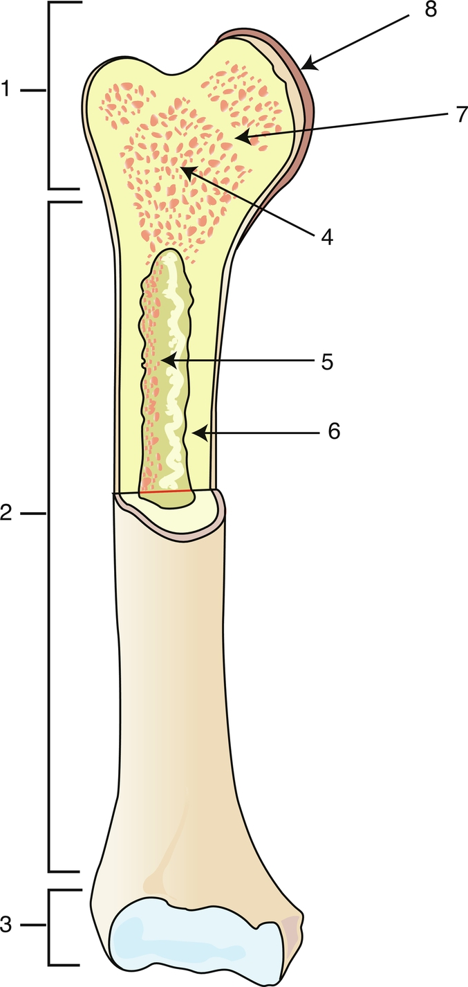 <p>6</p>