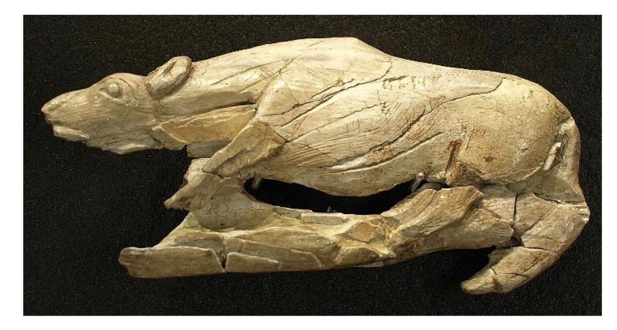 <p><span data-name="bone" data-type="emoji">🦴</span><span>Which hominin likely made this&nbsp;</span></p>