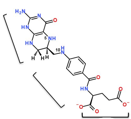 <p>What is the bottom group in this THF molecule?</p>