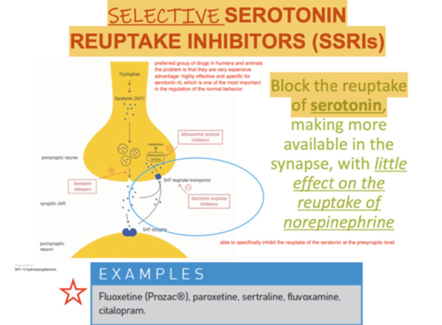 <p>Fluoxetine (prozac)</p><p>Paroxetine</p><p>Sertraline</p><p>Fluvoxamine</p><p>Citalopram</p>