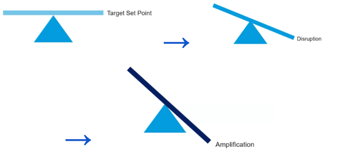 <p>Positive Feedback Mechanisms</p>