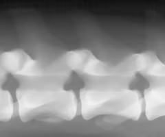 <p><span><span>Identify the species?</span></span></p>