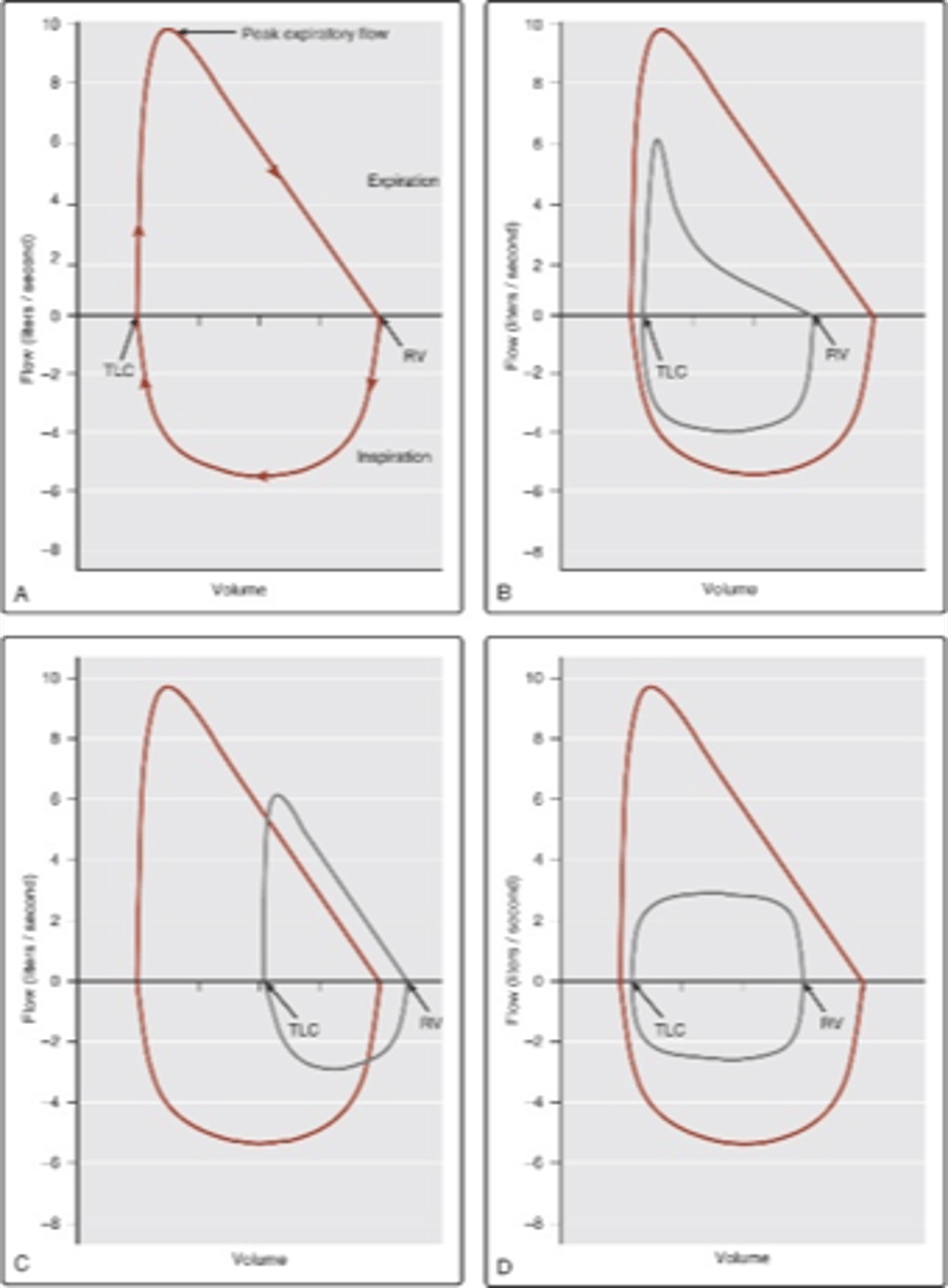 <p>-Graph C</p>