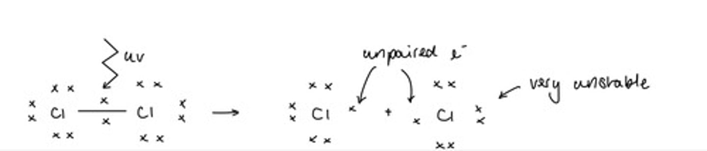 <p>UV light provides energy to split Cl2 into free radicals by homolytic fission</p><p>Waves must be of a high enough energy to break the sigma (σ) bond</p><p>The radicals are so unstable that no more energy is needed</p><p>A chain reaction forms</p><p>A Cl-Cl bond breaks feather than a C-H because is has a lower bond enthalpy</p>