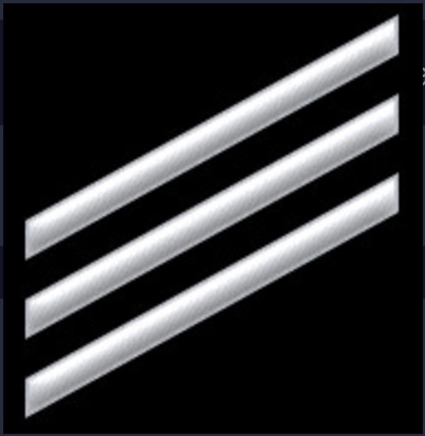 <p>3 diagonal stripes </p>