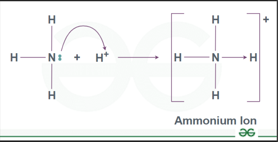 <p><span style="font-family: Calibri, sans-serif; line-height: 107%;"><span>an ammonium ion that has one or more hydrogens replaced by an alkyl group</span></span></p>