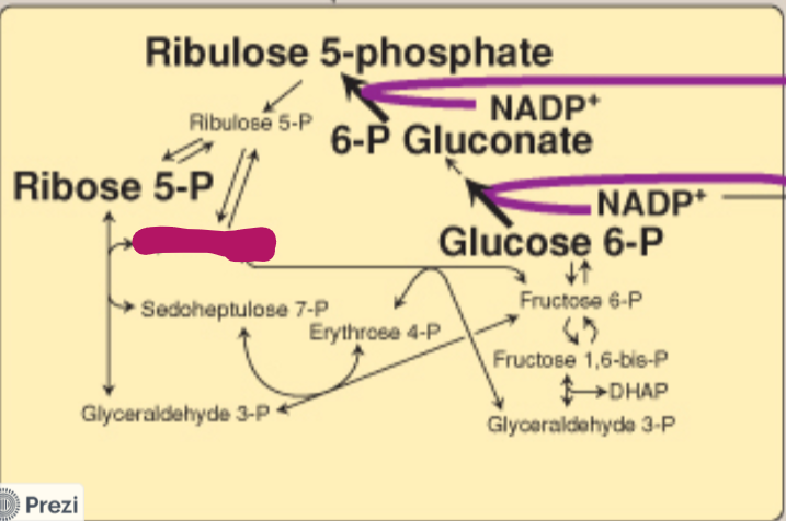 <p>Label this step of the PPP.</p>