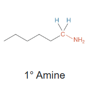 <p>Primary amine</p>
