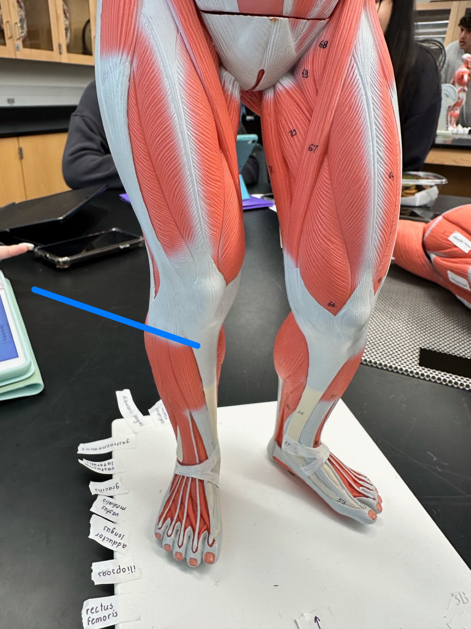 <p>ID structure</p>