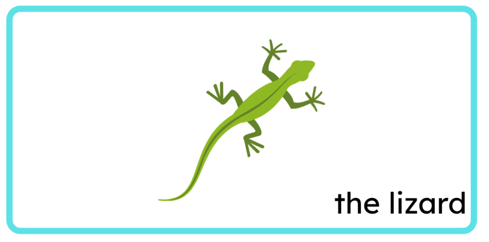 <p>the lizard</p>