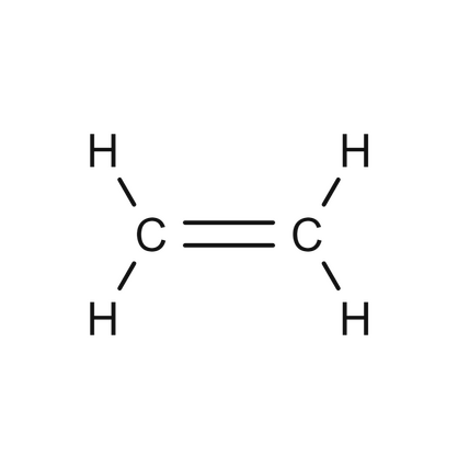 <p>-ene<br>-en-</p>