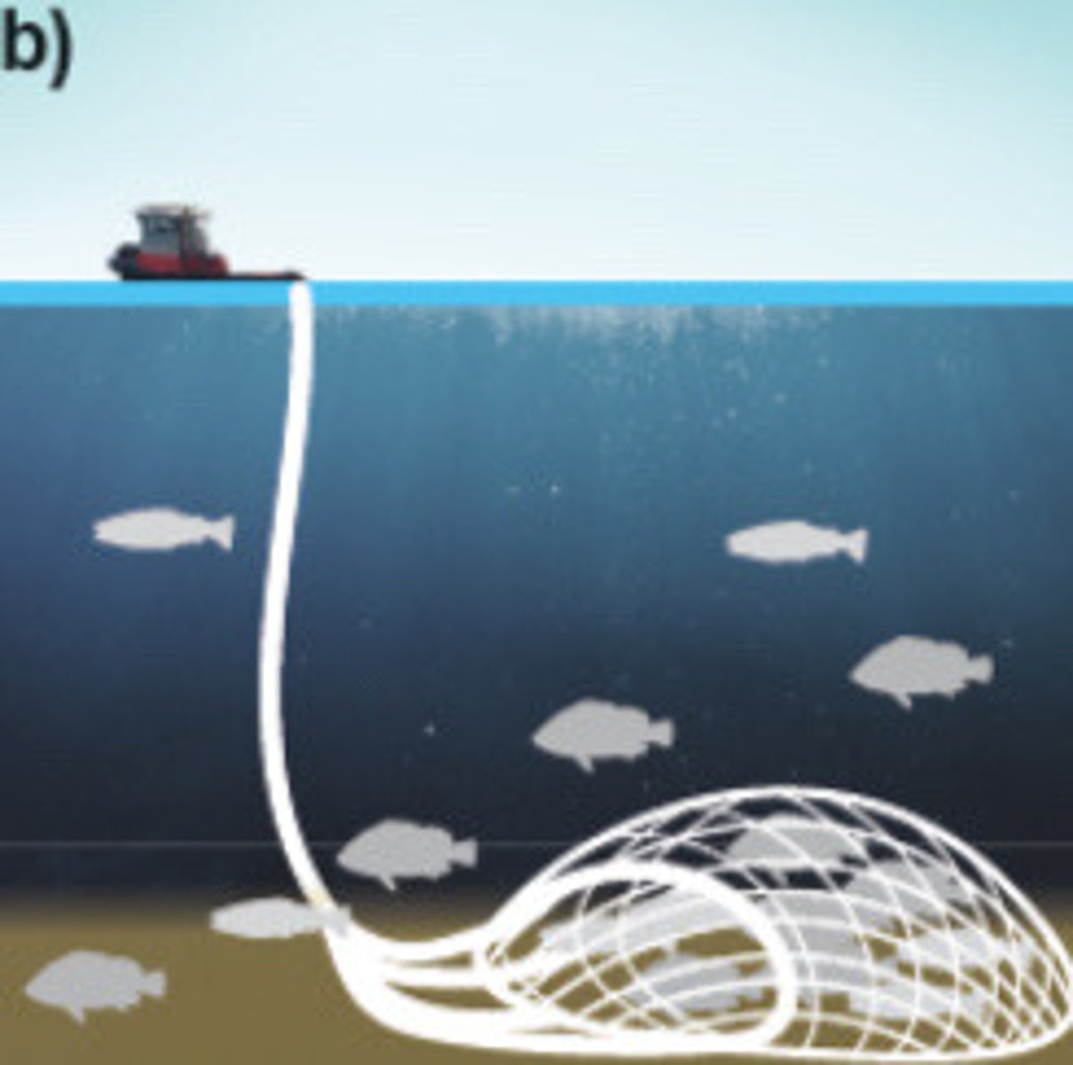 <p>Nets run along the ocean bottom</p>